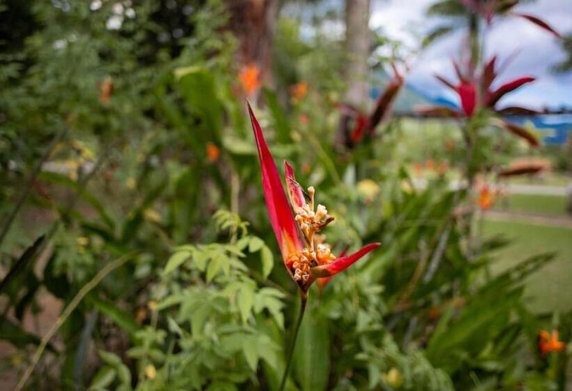 펜션 Pousada Maritacas Do Sana