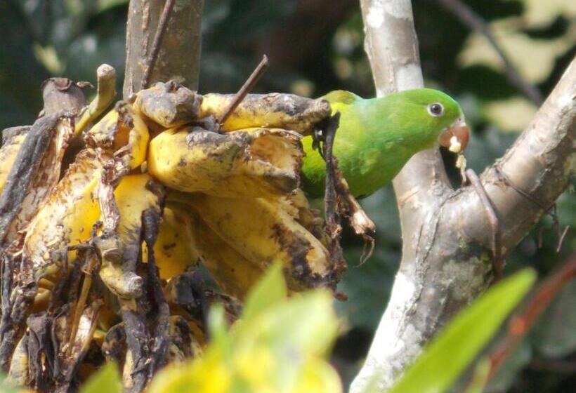 펜션 Pousada Maritacas Do Sana