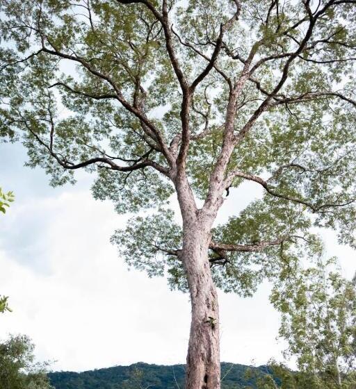 펜션 Pousada Maritacas Do Sana