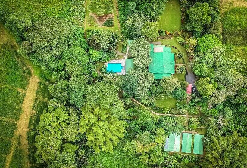 펜션 Tropical Paradise Bungalows