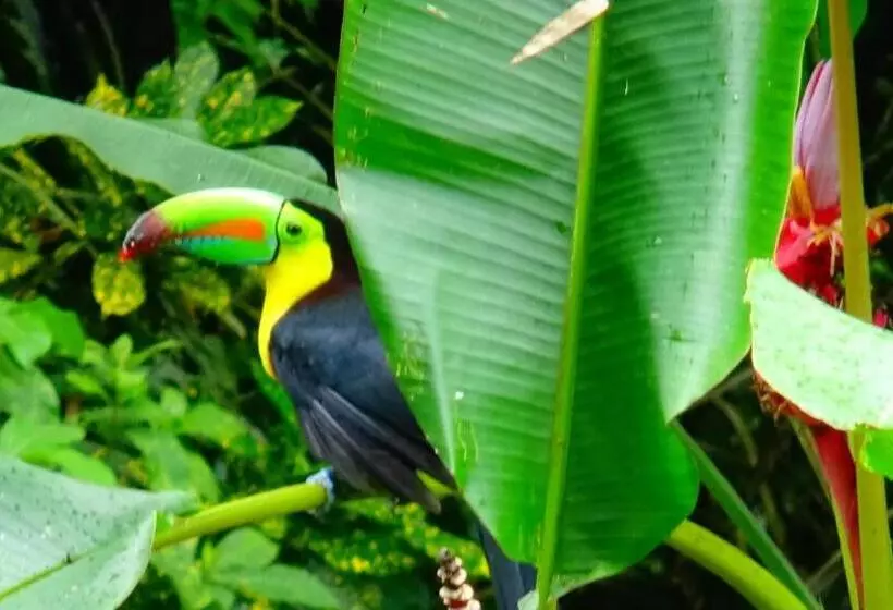 Majatalo Tropical Paradise Bungalows