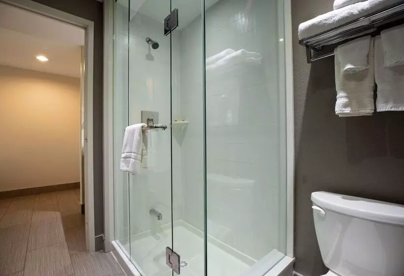 هتل Best Western Plus Executive Inn