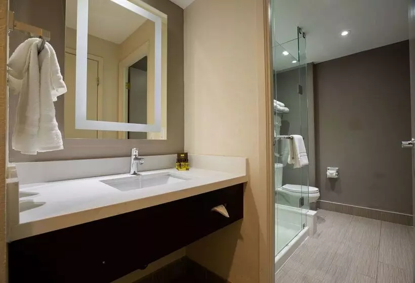 هتل Best Western Plus Executive Inn