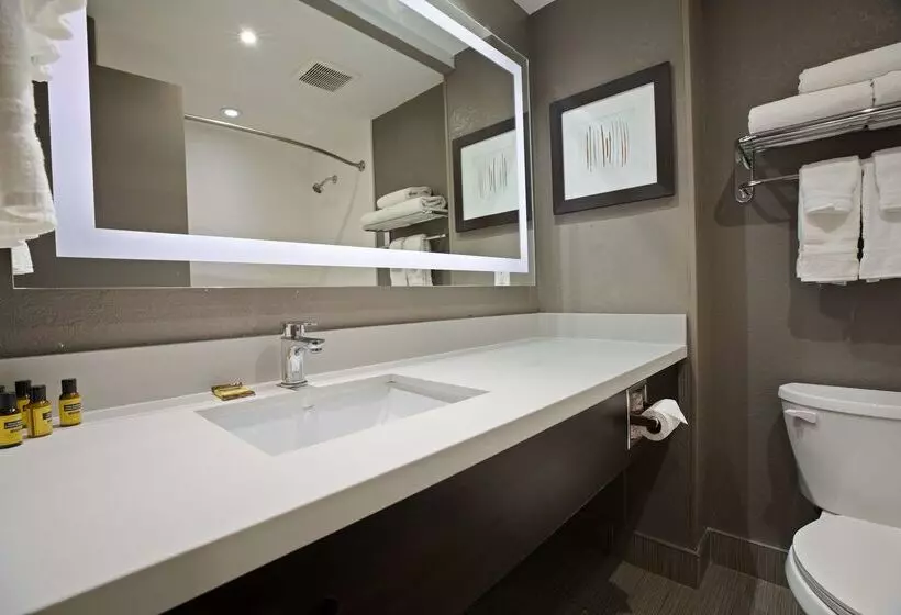 هتل Best Western Plus Executive Inn