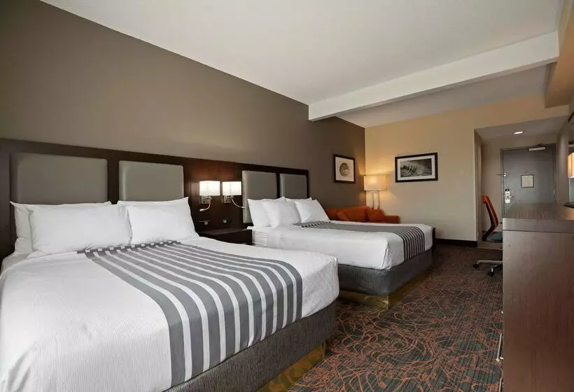 هتل Best Western Plus Executive Inn