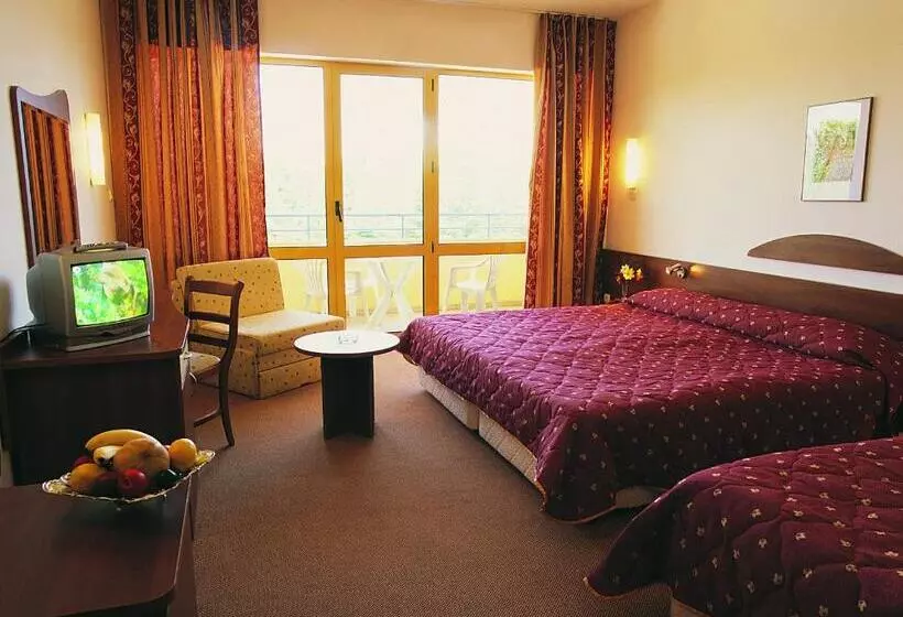 Отель Continental Park