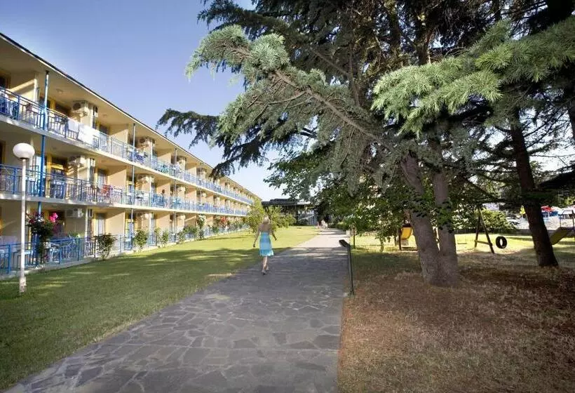 Отель Continental Park