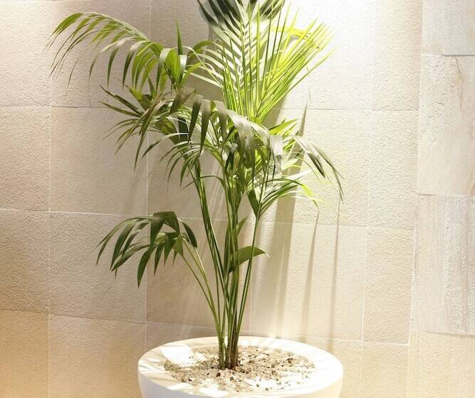 Montebelo Viseu Congress Hotel & Spa