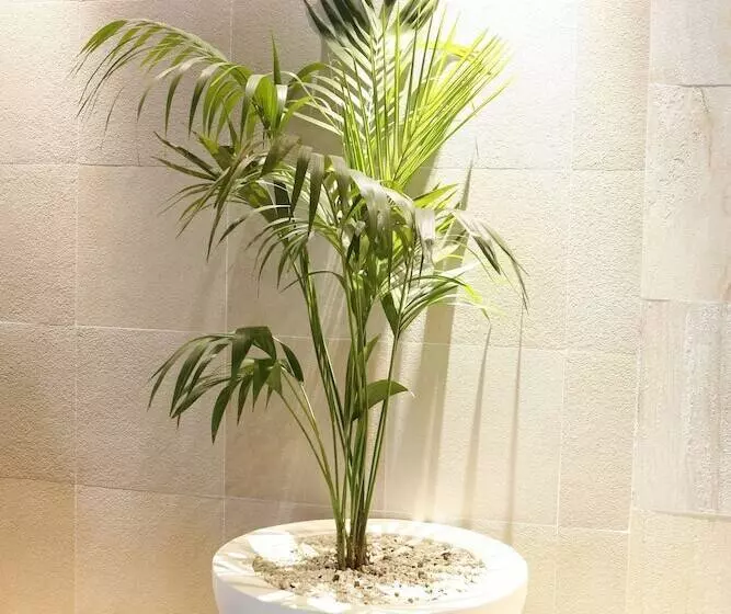 Montebelo Viseu Congress Hotel & Spa