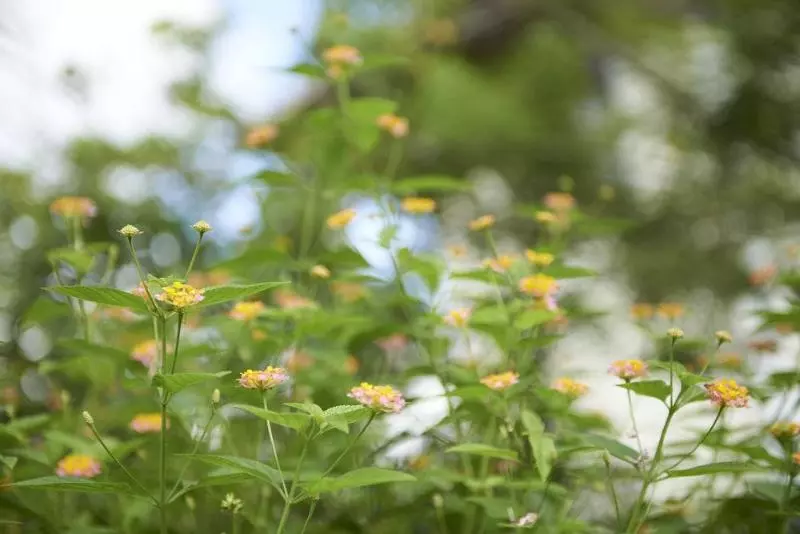 ホテル Santi Resort & Spa