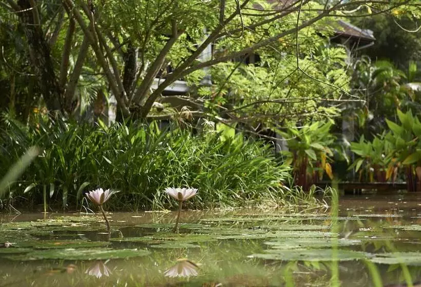 ホテル Santi Resort & Spa