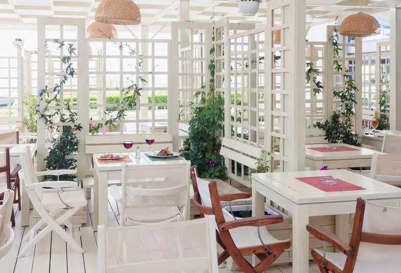 Sol Marina Palace Hotel   All Inclusive & Adults Only