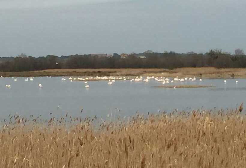 בית מלון כפרי The Originals Access, Hôtel Béziers Est