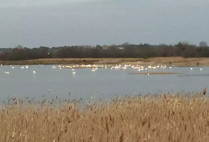 호텔 The Originals Access, Hôtel Béziers Est