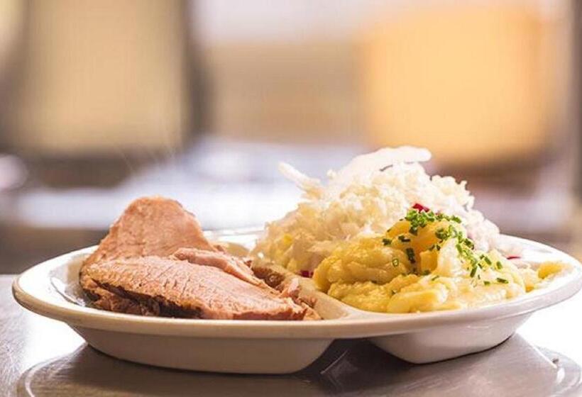 旅馆 Gasthof Pichler