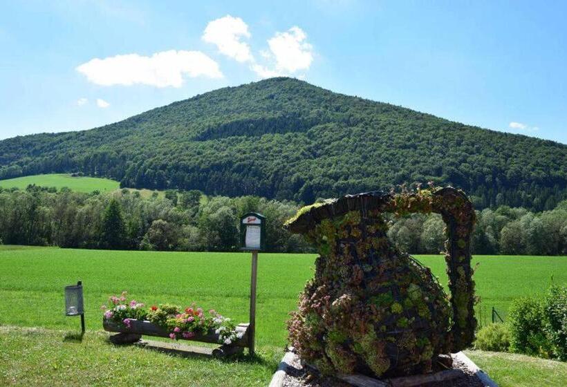 旅馆 Gasthof Pichler