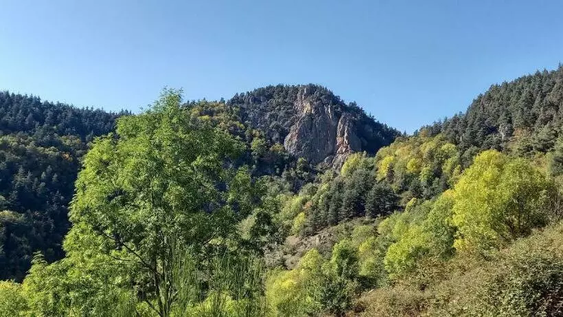 Aamiaismajoitus (B&B) Auberge Le Champêtre