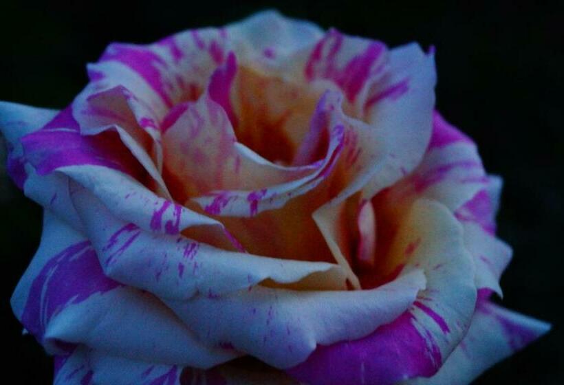 צימר Aux Greniers à Rêves