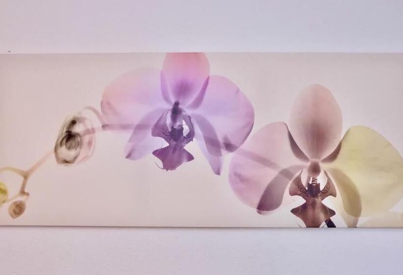 Bed & Breakfast Cave Du Treyblanc