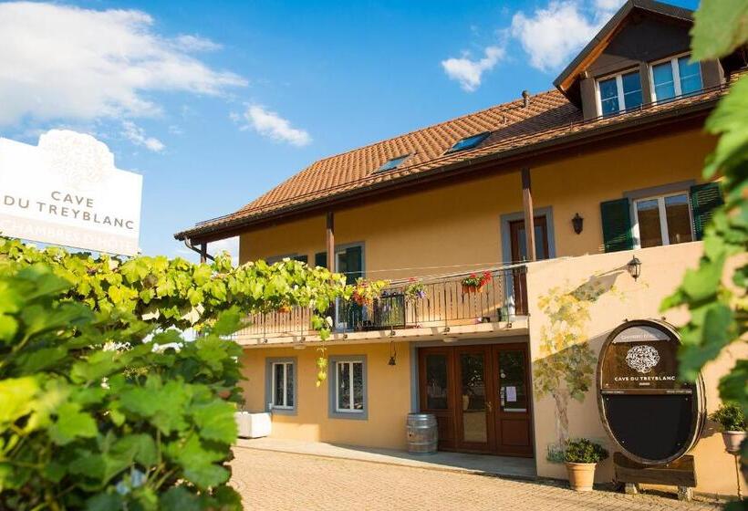 Bed & Breakfast Cave Du Treyblanc