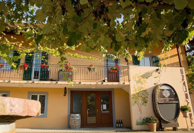 Bed & Breakfast Cave Du Treyblanc
