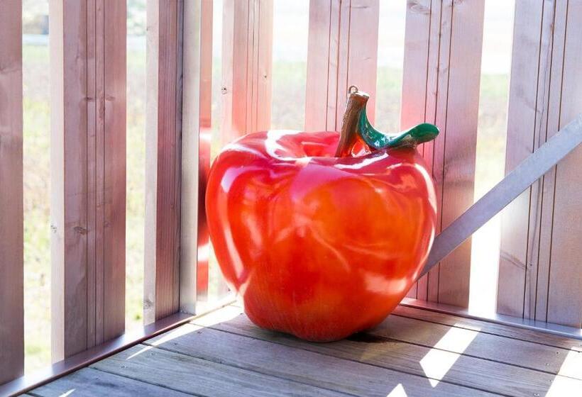 Bed & Breakfast Cave Du Treyblanc