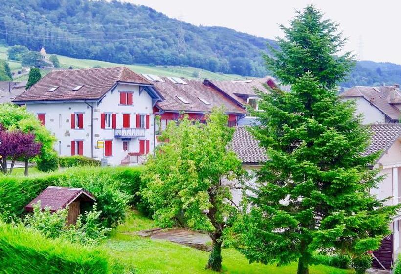 Bed & Breakfast Cave Du Treyblanc