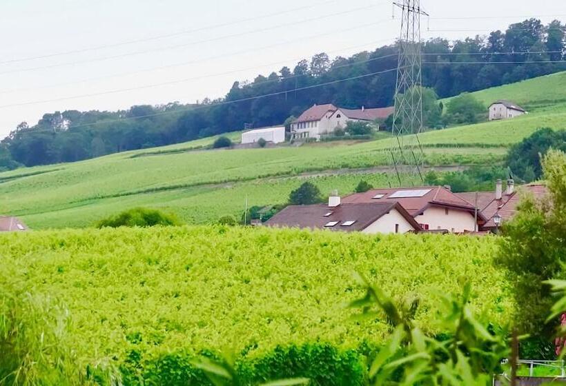 Bed & Breakfast Cave Du Treyblanc