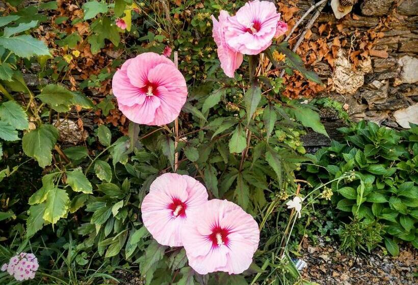 צימר Chambres D'hôtes Le Puits D'amour