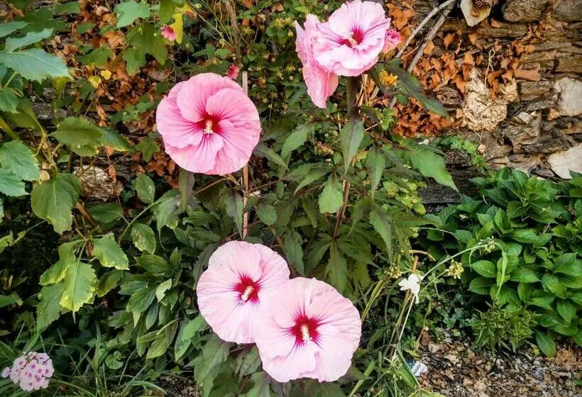 ベッドアンドブレックファースト Chambres D'hôtes Le Puits D'amour