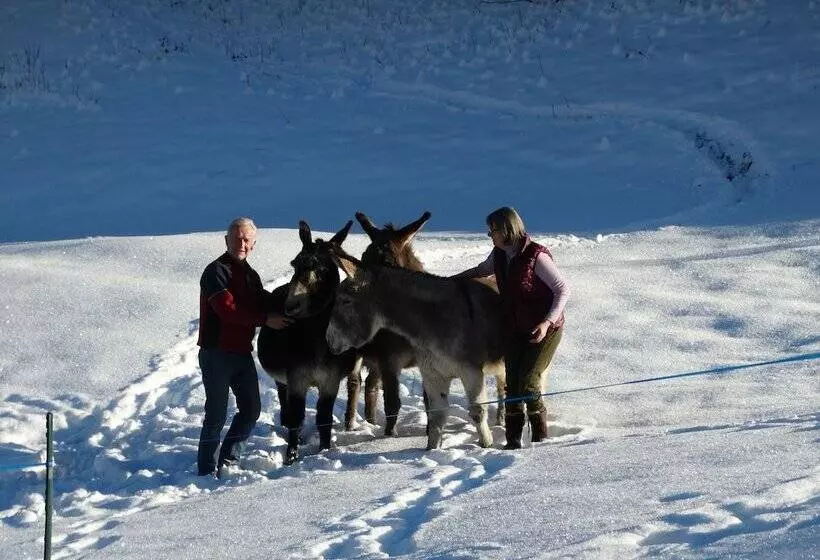 Aamiaismajoitus (B&B) Le Bois Des  Louison