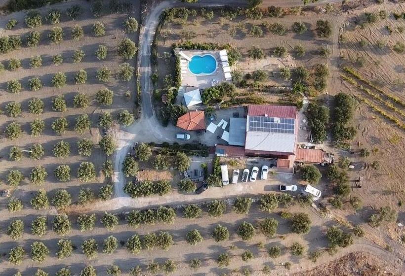 צימר Terra Nostra