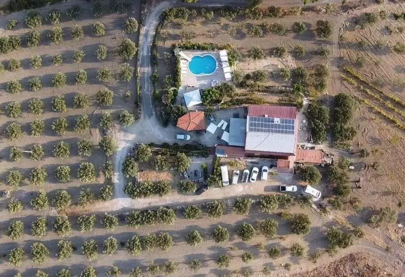 Aamiaismajoitus (B&B) Terra Nostra