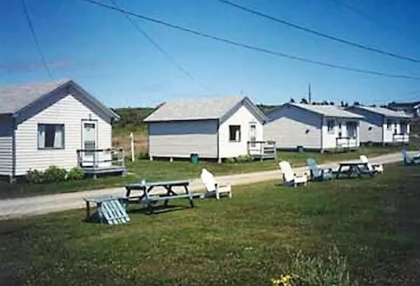 Cape View Motel And Cottages