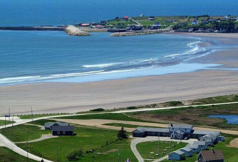 Cape View Motel And Cottages