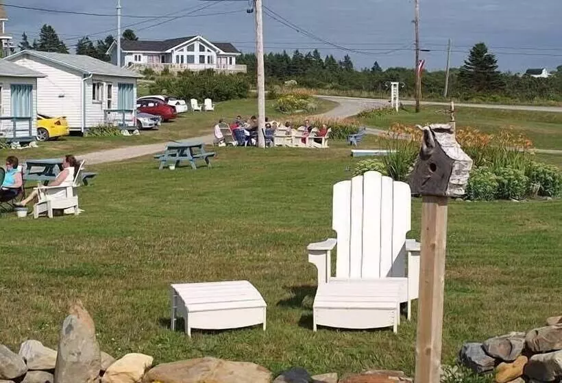 Cape View Motel And Cottages