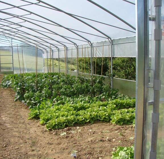 فندق Agriturismo Vecchio Gelso