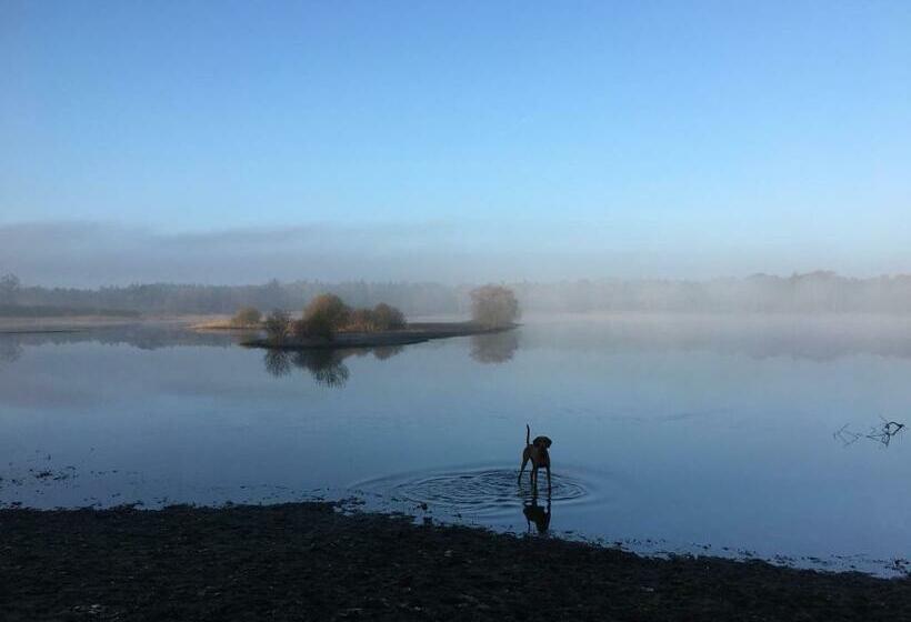 בית מלון כפרי Beerze Brouwerij