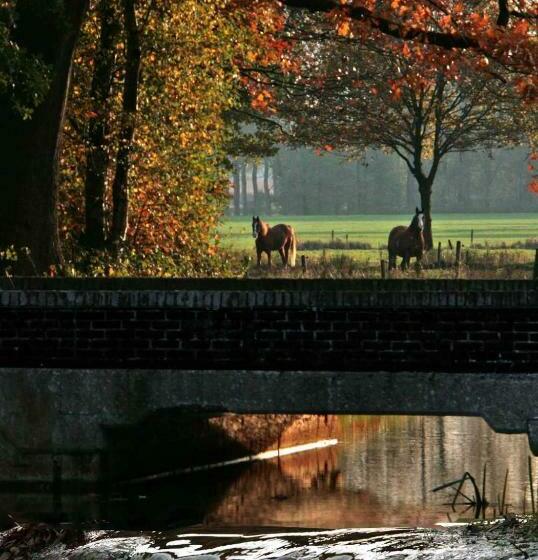 בית מלון כפרי Beerze Brouwerij
