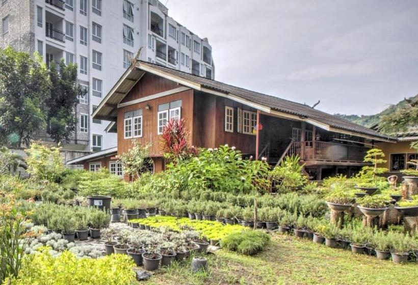 酒店 Oyo 75347 The First Camp Resort At Khaoyai