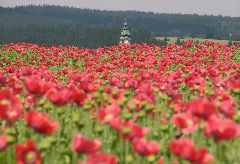 Mohnhotel   Bergwirt Schrammel