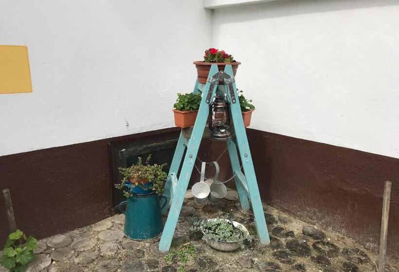 פנסיון Csörgő Vendégházak