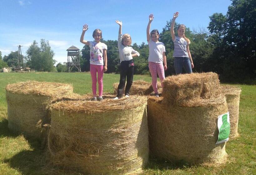 פנסיון Csörgő Vendégházak