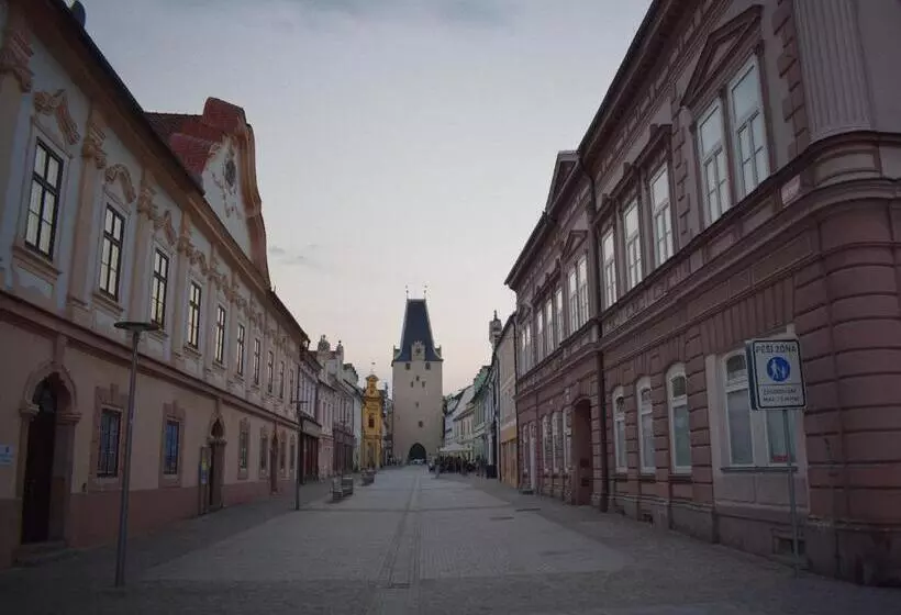 ペンション Penzion U Johanky