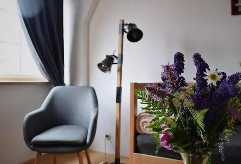 ペンション Penzion U Johanky