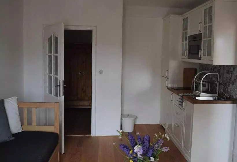 ペンション Penzion U Johanky