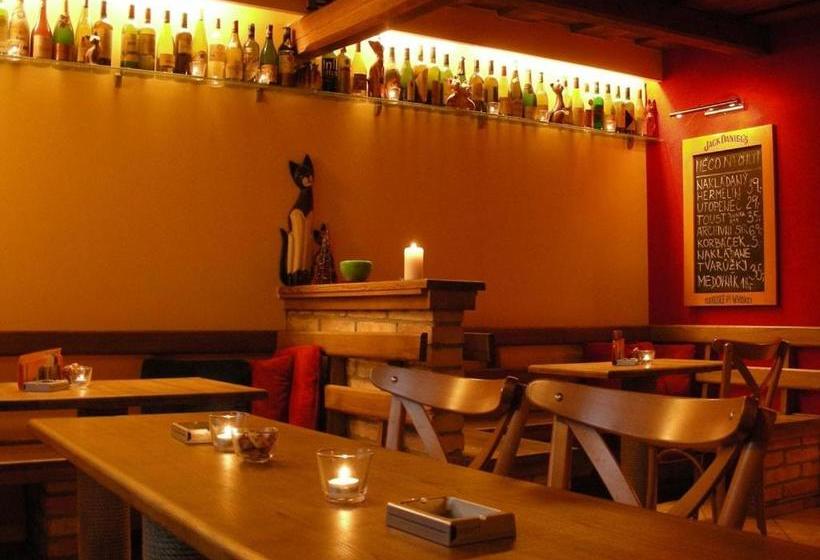 פנסיון Penzion U Kočky