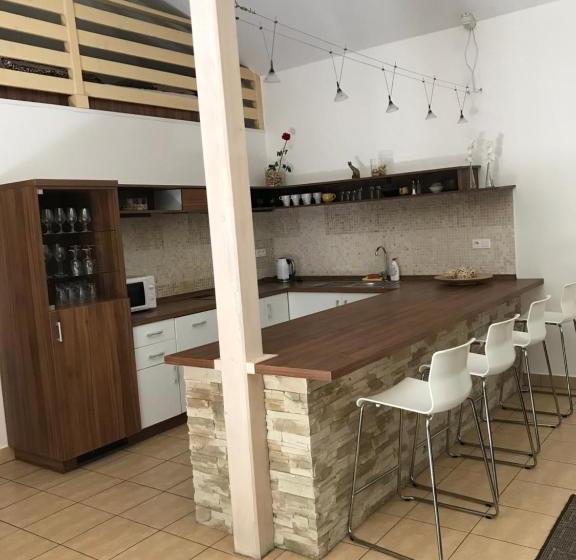 פנסיון Penzion U Kočky