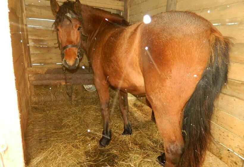 פנסיון Sadyba Pidkova