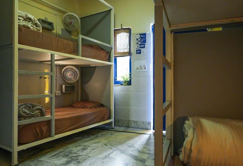 هاستل Shalom Backpackers Rishikesh